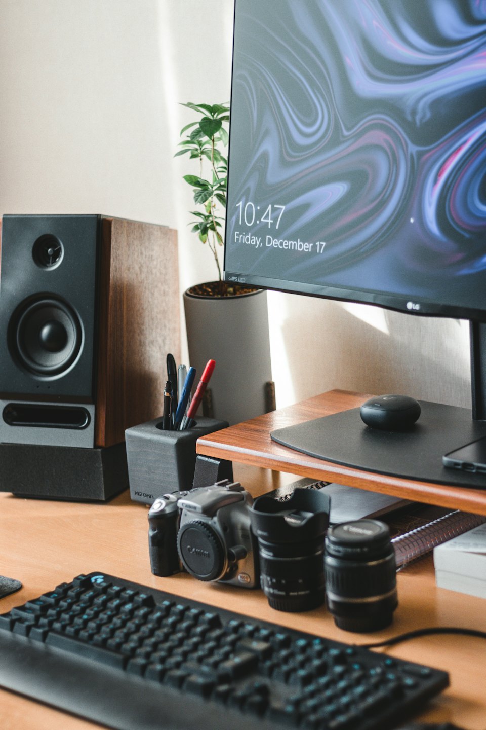 Professional desk with monitor, camera, and plant.